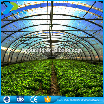 Polycarbonate Greenhouse for Plants Flower Vegetables